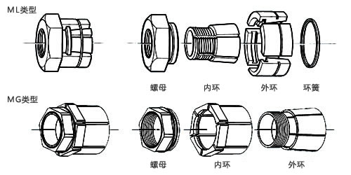 ML構造